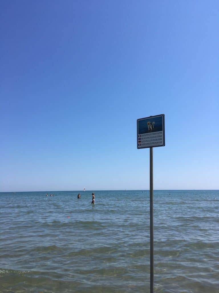 spiaggia libera per cani